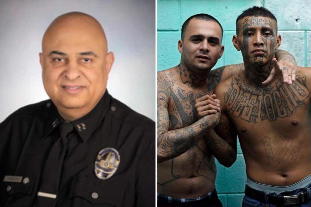 Exclusive | LA cops thwarted by woke reforms blocking them from tracking 80,000 gang suspects