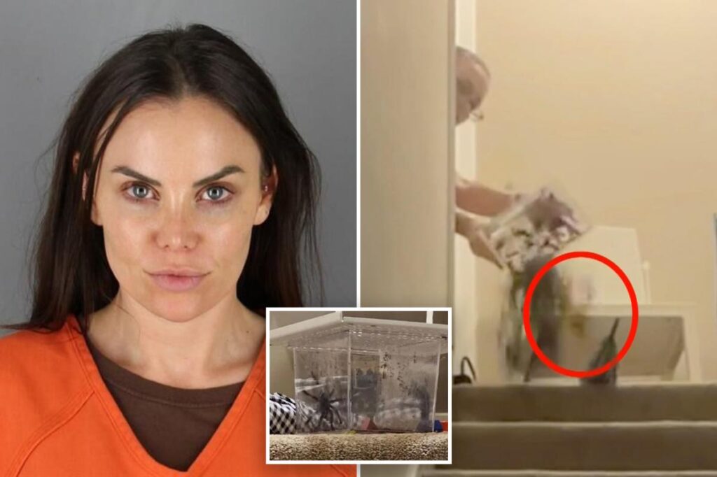 US Senate candidate convicted of tossing live tarantula into Airbnb in ‘Home Alone’-inspired harassment campaign