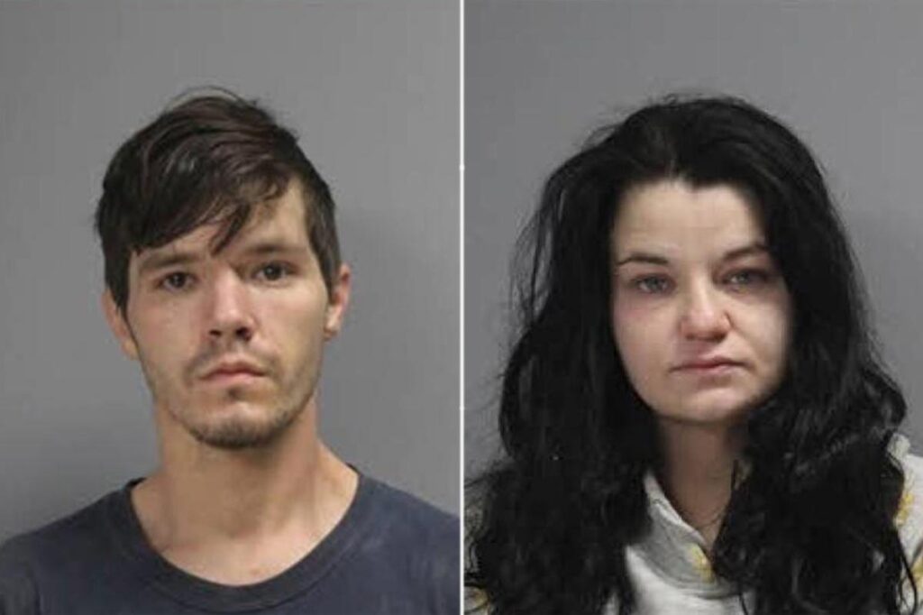 Owner of Texas animal rescue accused of starving 80 dogs in her care — more than 100 feared dead