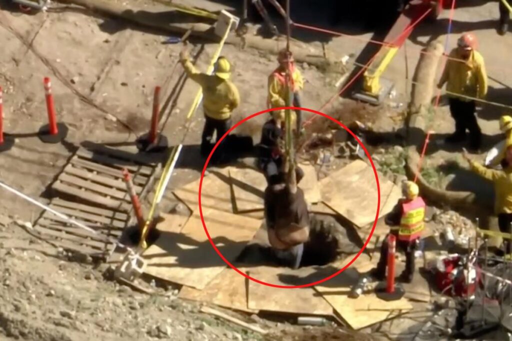 500-pound man battles for his life after falling into 15ft hole in California