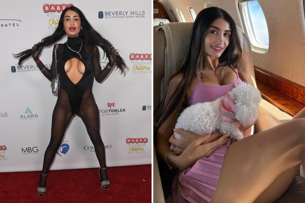 Shocking details emerge after Penthouse Pet wooed love-starved old men before robbing them blind