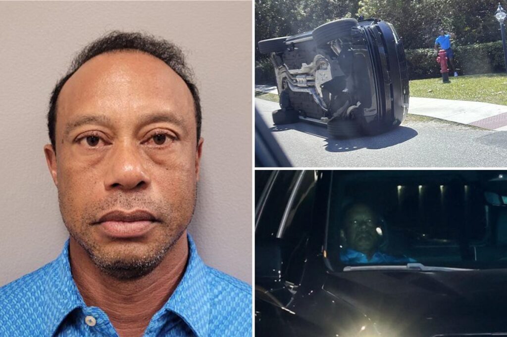 PGA stars want to see Tiger Woods take ‘accountability,’ face ‘punishment’ after latest DUI crash