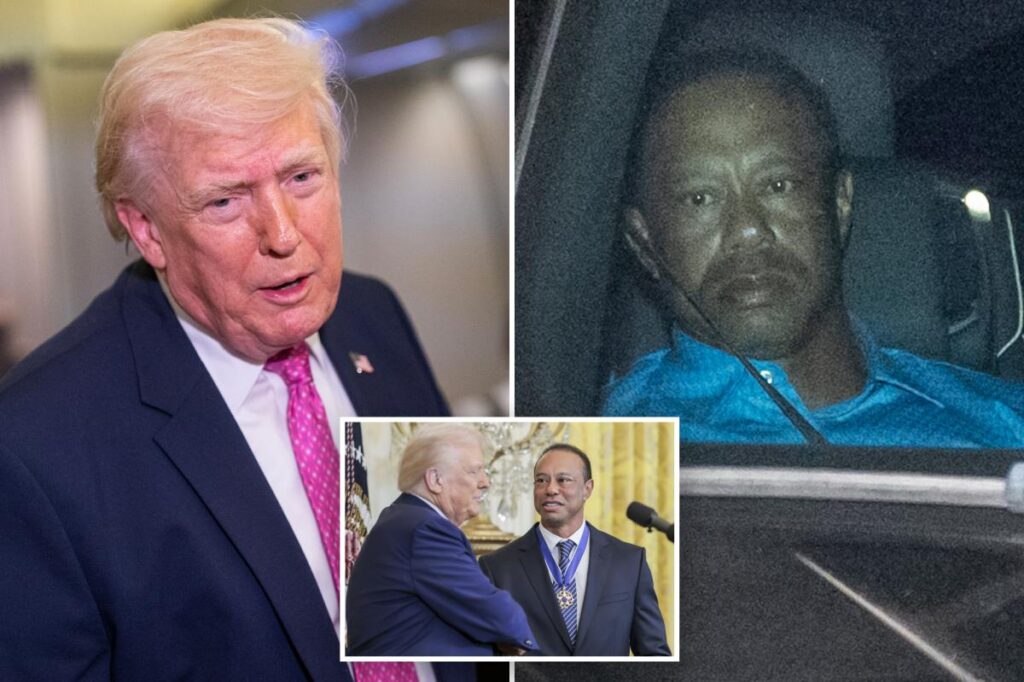 Exclusive | Trump weighs in on Tiger’s Florida rollover DUI crash, tells The Post Vanessa’s boyfriend endures ‘a life of pain’