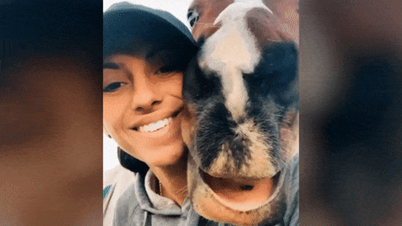 Injured racehorse Lina’s Choice returned to race sex months early before fall that killed jockey Injured racehorse Lina’s Choice returned to race sex months early before fall that killed jockey