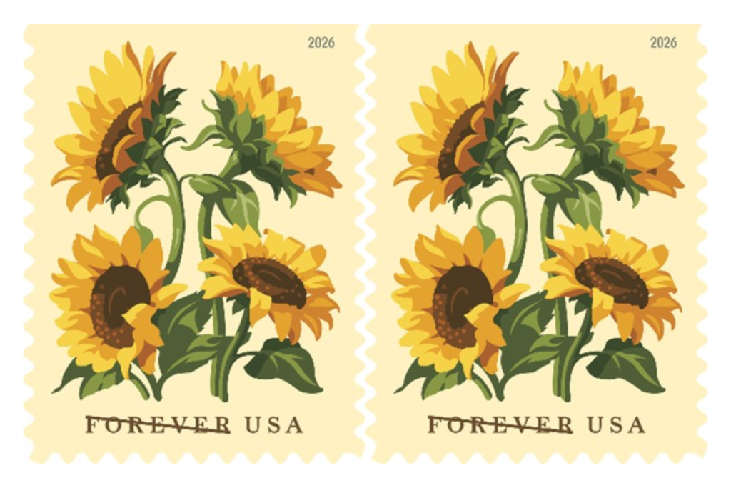 USPS Introduces New Sunflowers Forever Stamp USPS Introduces New Sunflowers Forever Stamp