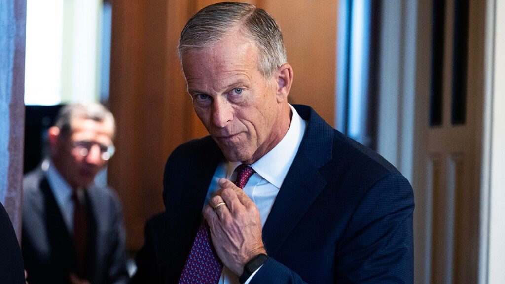 Thune, GOP blast Dems in DHS standoff as Lankford says they fear ICE over Iran