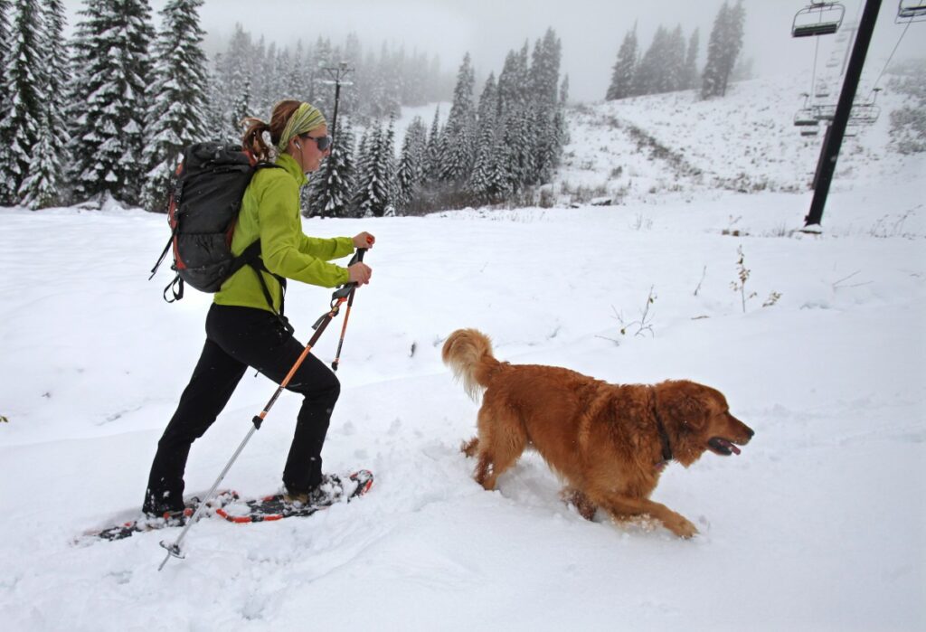 Heavy Snow Warning As 12 Inches To Hit—‘Prepare For Power Outages’