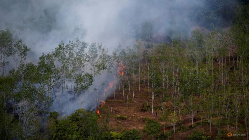 Indonesian forest loss surges by 66% in 2025, driven by Prabowo’s self-sufficiency drive: Report Indonesian forest loss surges by 66% in 2025, driven by Prabowo’s self-sufficiency drive: Report