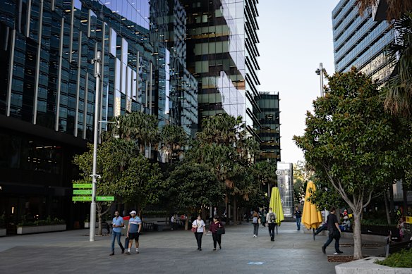 Office buildings in Parramatta Square.