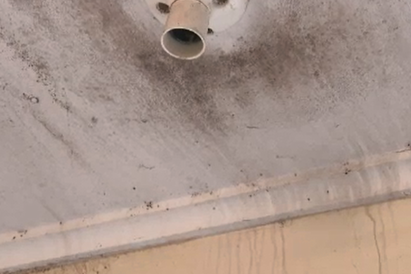 More mould in the house’s bathroom.