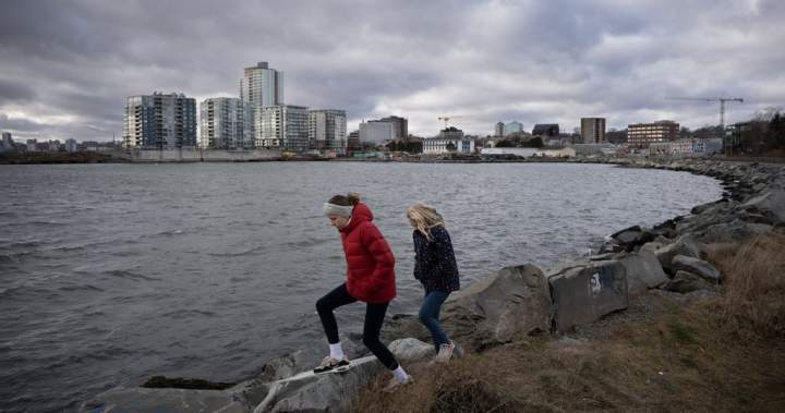 Fisheries Minister won’t allow Dartmouth Cove infilling project to move forward Fisheries Minister won’t allow Dartmouth Cove infilling project to move forward