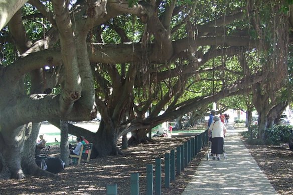 The alleged assaults were reported at the memorial park on Oxford Street in the riverside suburb.