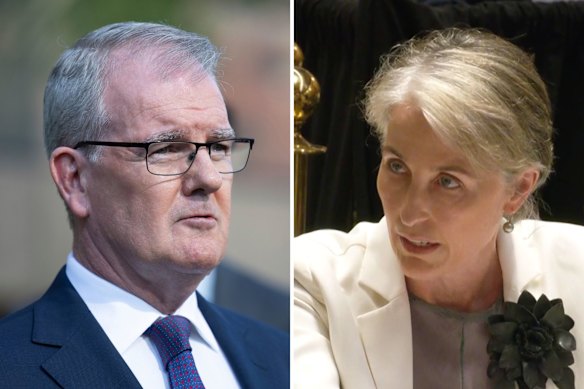 NSW Attorney-General Michael Daley and DPP Sally Dowling, SC, have been grilled during budget estimates.