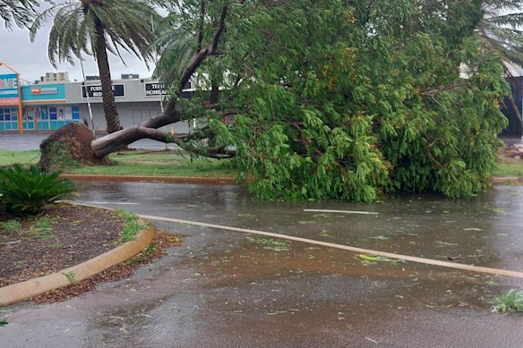 A tree down in the City of Karratha on Thursday morning.
