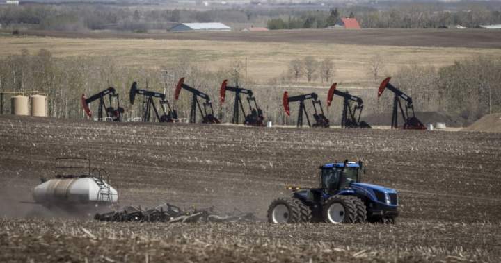 Alberta reviewing plan on forcing oil companies to pay outstanding municipal taxes Alberta reviewing plan on forcing oil companies to pay outstanding municipal taxes