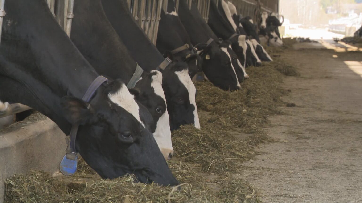 Canadians’ Easter meal to cost more this year as beef prices keep climbing Canadians’ Easter meal to cost more this year as beef prices keep climbing