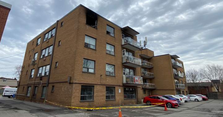 Man, cat dead after fire rips through Hamilton apartment Man, cat dead after fire rips through Hamilton apartment