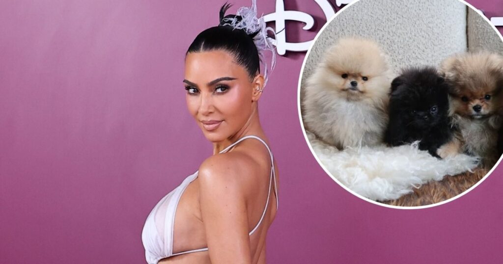 Kim Kardashian Defies PETA Backlash By Sharing Photos of Her 4 New Puppies: ‘Welcome to the Fam’