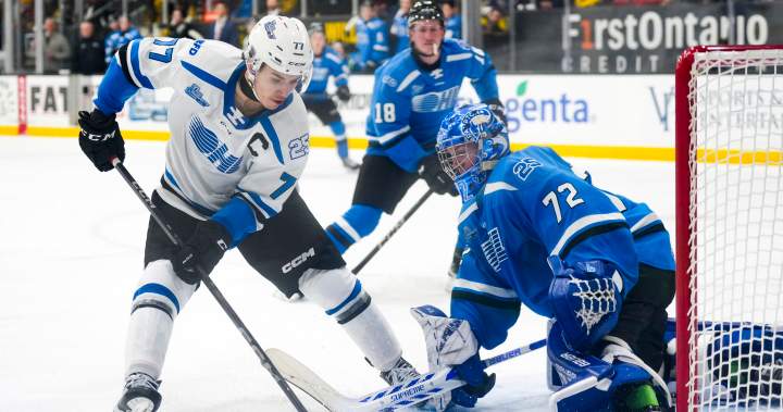 OHL commissioner pitching cities on expansion teams as league looks to grow OHL commissioner pitching cities on expansion teams as league looks to grow