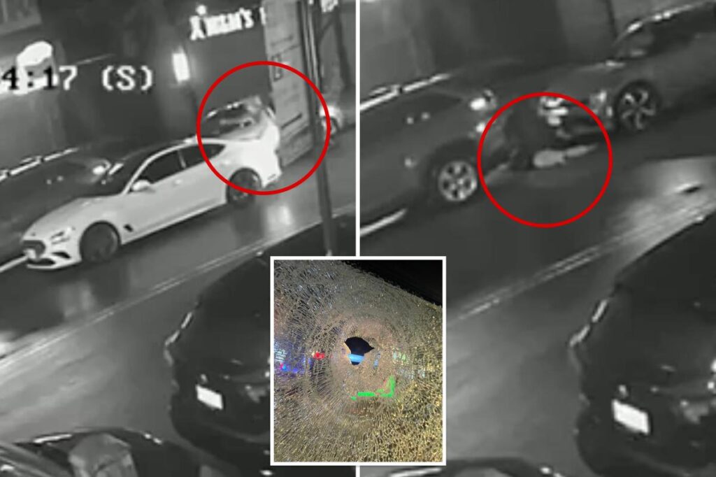 Shocking video shows off-duty NYPD cop shoot man who may have been involved in car theft — as he’s suspended