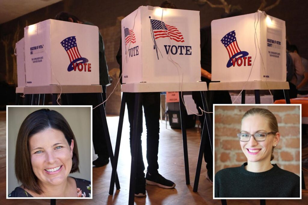 Left-wing plot to destroy California voter ID petition with over 1 million backers