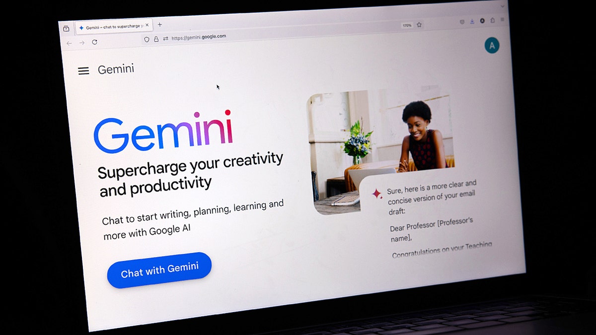 A view of a computer screen showing Gemini.