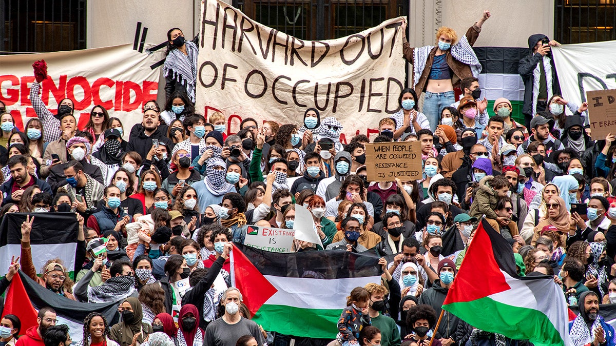 Supporters of Palestine gather at Harvard University, holding signs and listening to speakers during a pro-Palestinian rally on campus.