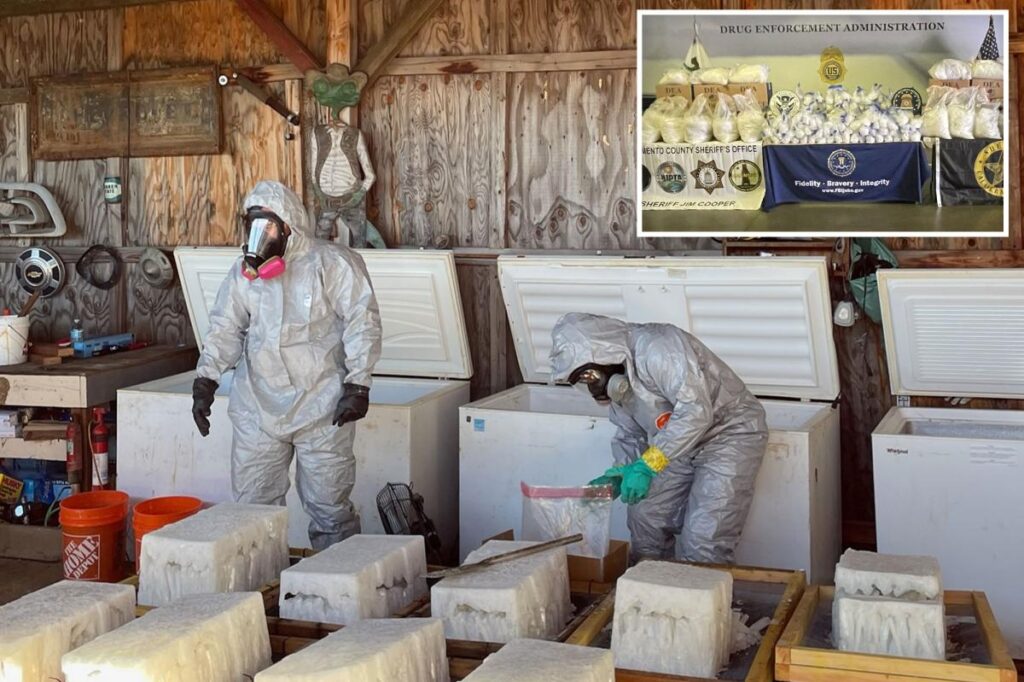 Illegal dumping tip off leads to insane m meth bust in California: ‘Operation Trash Panda’