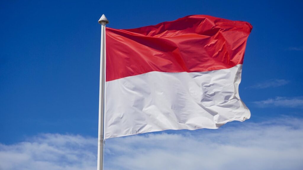 Australian plane owner charged over ‘black flight’ to Indonesia