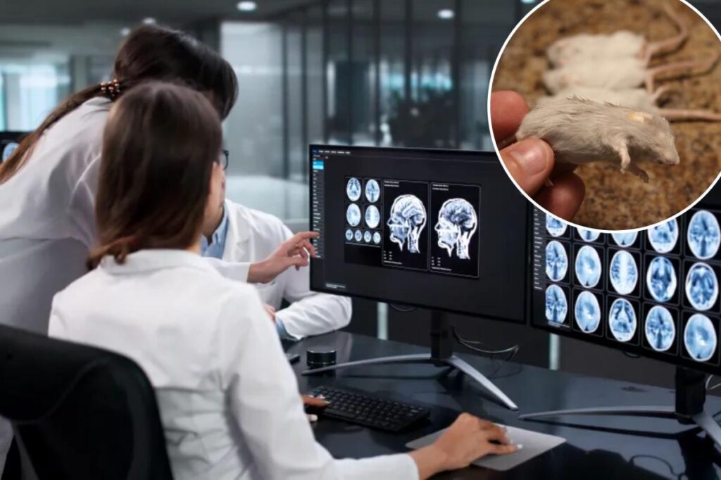 Frozen mouse brains revived from ‘cryosleep’ in a scientific first