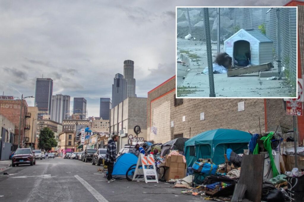 LA homelessness crisis hits horrifying new low as people take to living in sewers