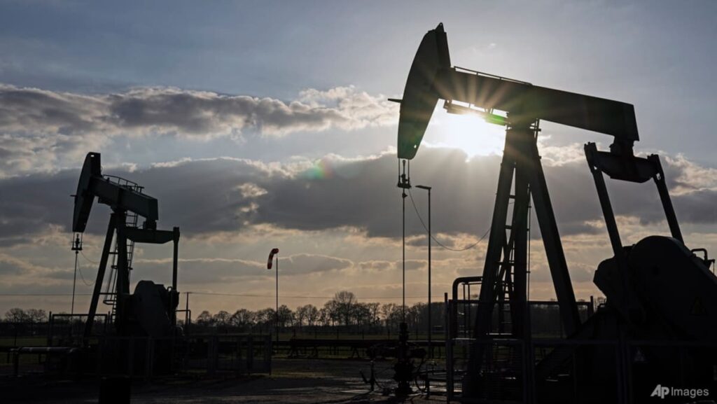 Asian stocks extend gains, oil stabilises after crude release report