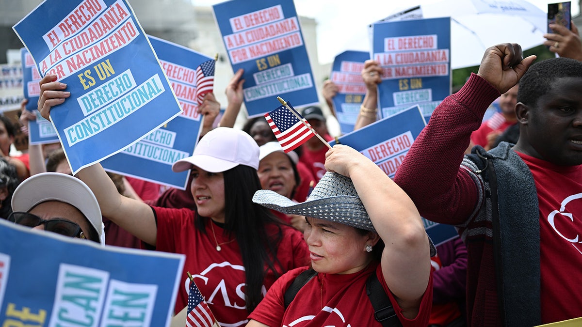 protesters of birthright citizenship