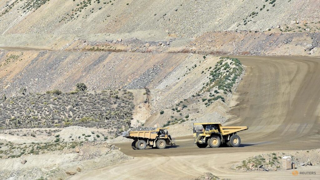 Japan, US to discuss joint rare earths development