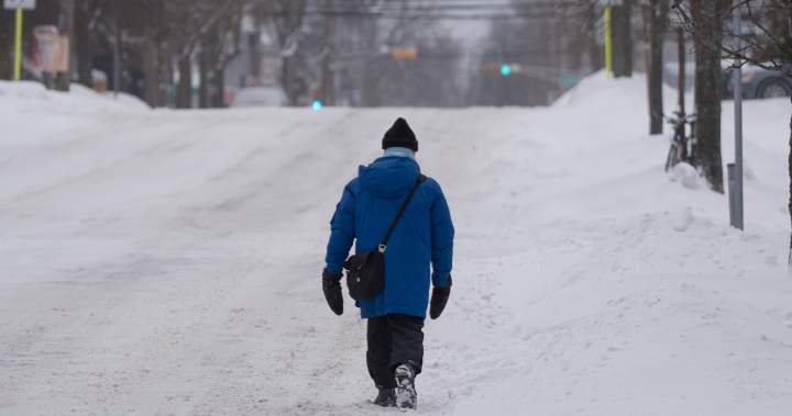 Parts of Nova Scotia, Quebec get early spring blast of snow Parts of Nova Scotia, Quebec get early spring blast of snow