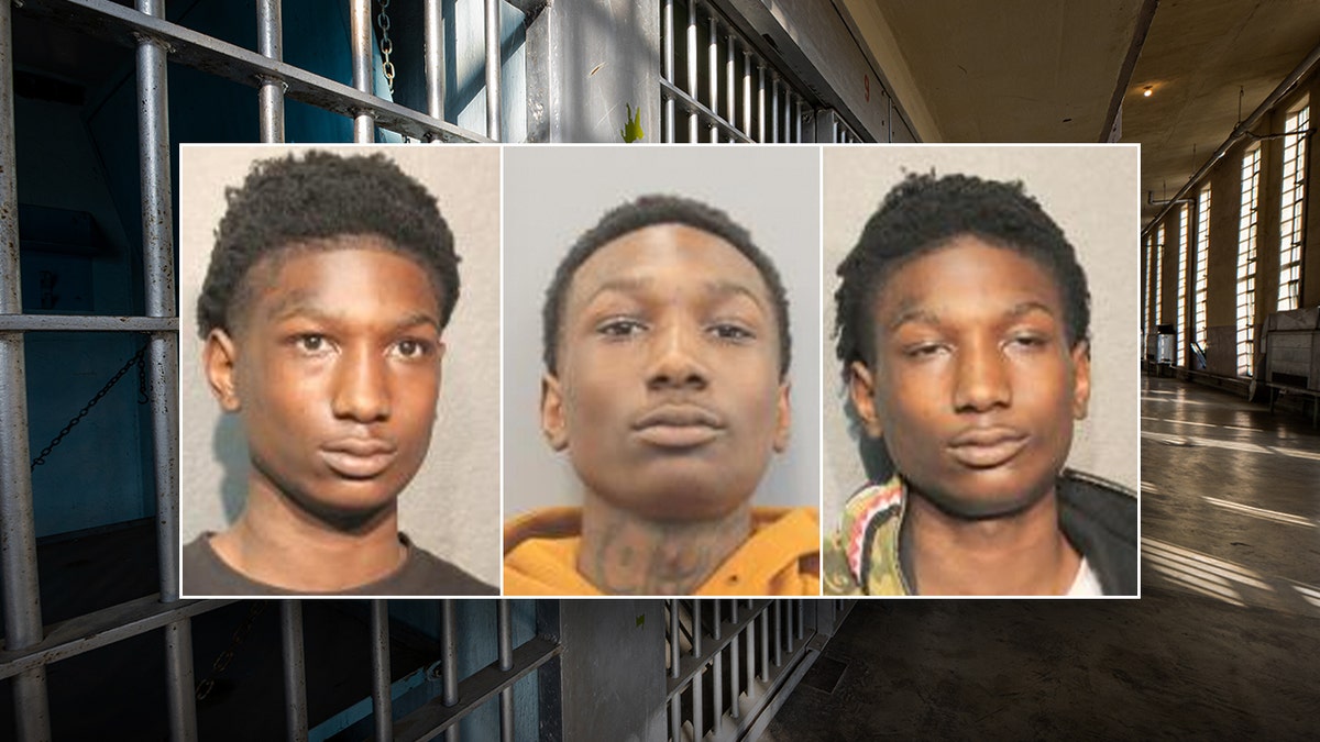 Johnnie Lillie's Texas mugshots