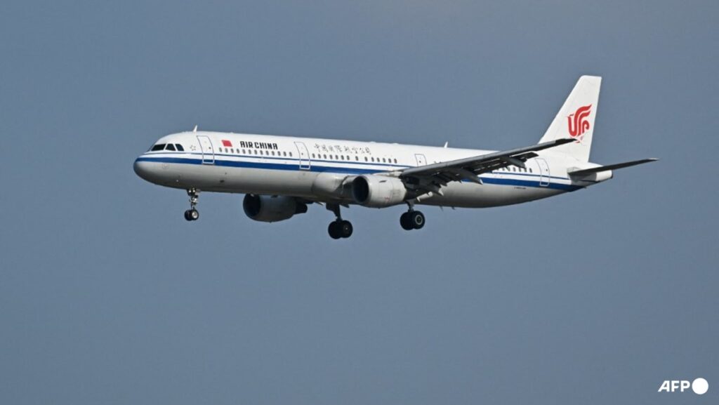 Chinese airlines to raise fuel surcharges on domestic flights