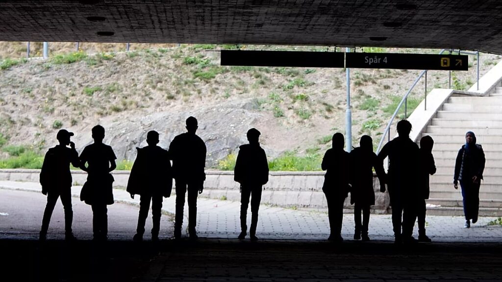 Swedish rights groups slam ‘honest living’ criteria for migrants