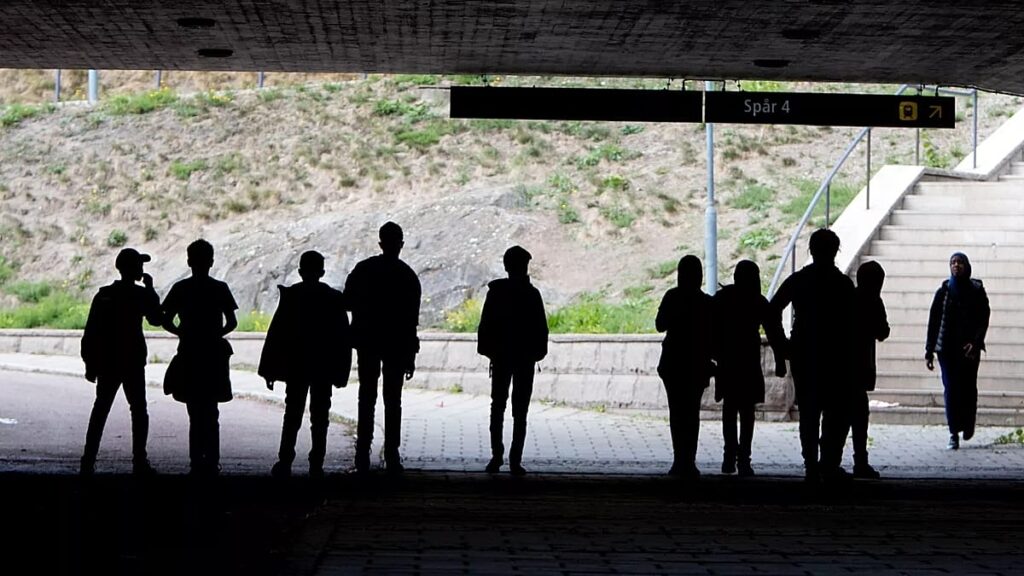 UN watchdog rebukes Sweden for deporting disabled child twice