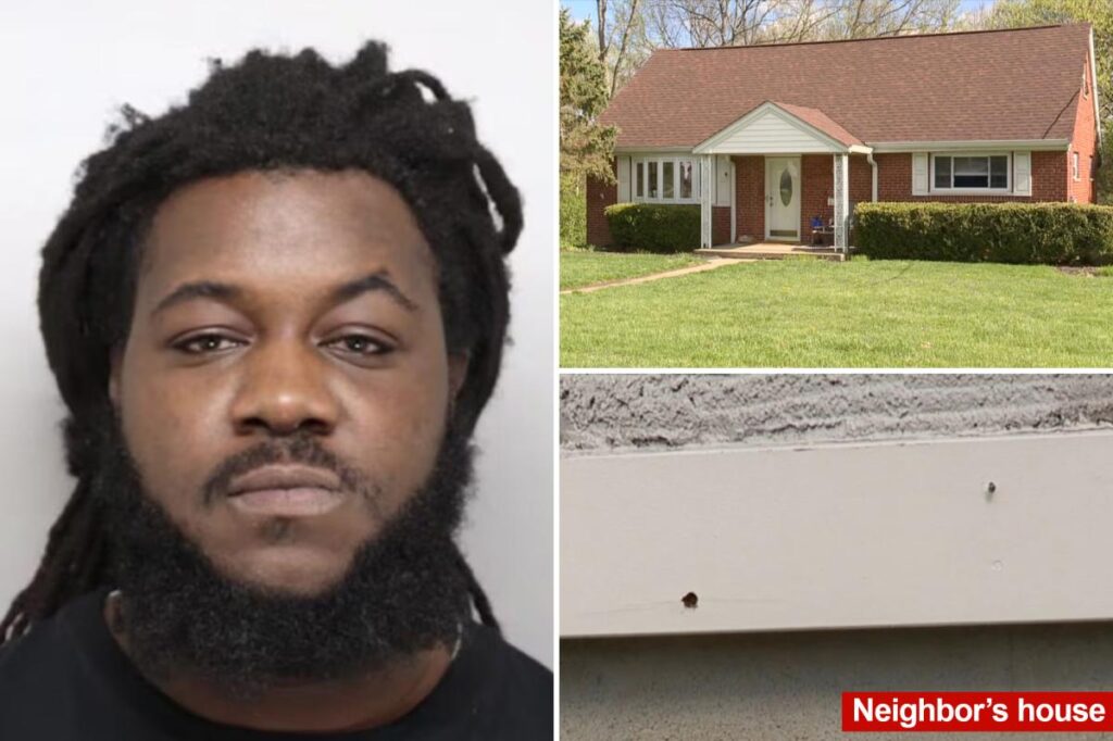 Homeowner arrested after shooting at young pranksters playing ‘ding-dong-ditch’: cops