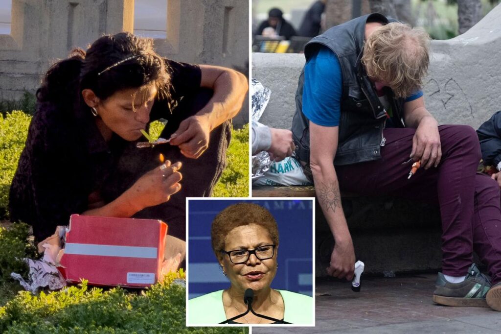 Exclusive | Gavin Newsom’s nemesis demands strict new test for homeless — as LA burns 0M on doomed program