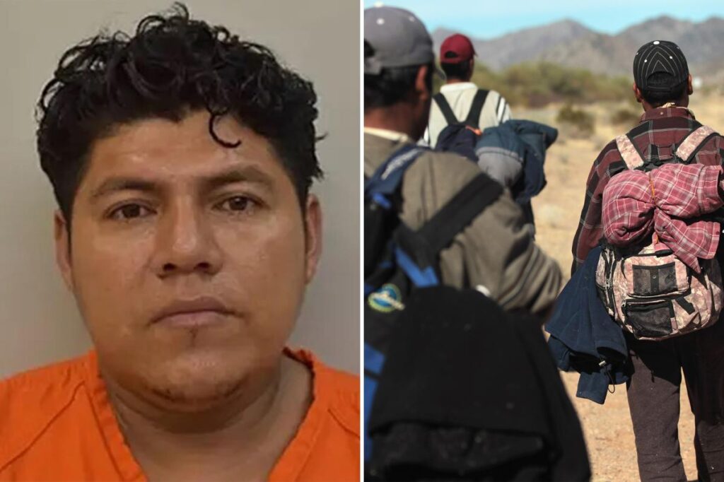 Honduras national who pleaded guilty to raping 12-year-old relative is illegal immigrant, DHS says