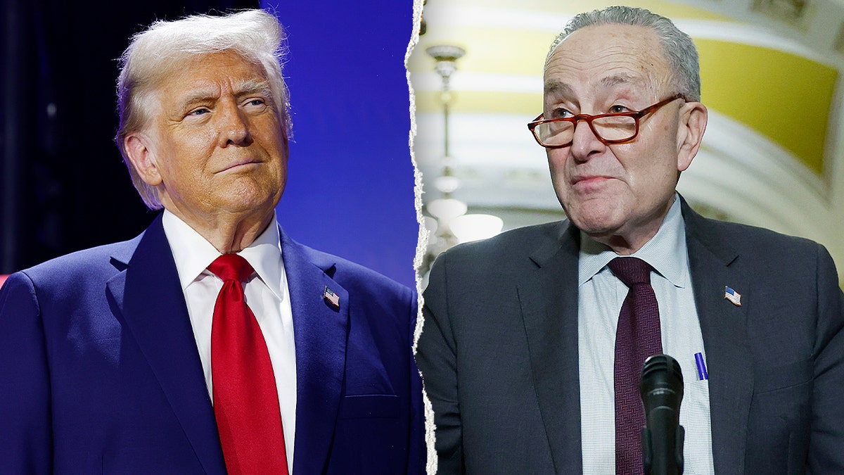 President Donald Trump and Senate Minority Leader Chuck Schumer standing separately in formal settings