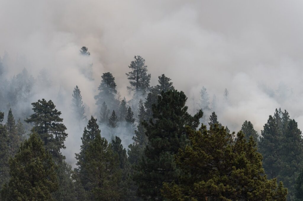 Thousands in Oregon urged to move activities indoors over air quality