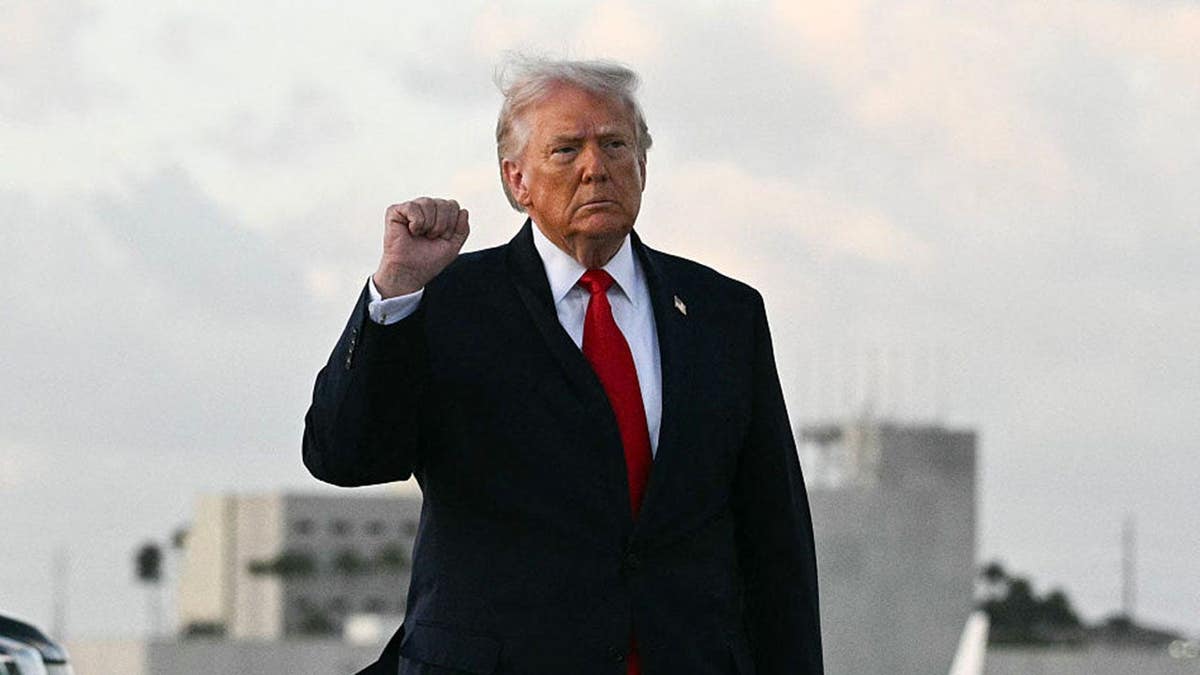 donald trump with his fist in the air