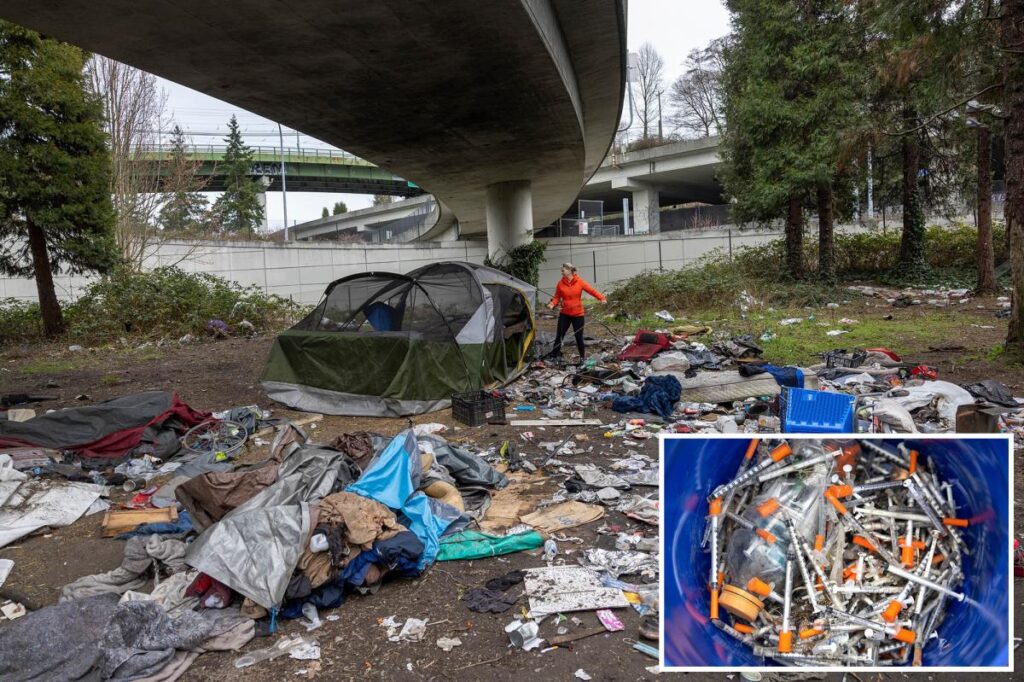 Fentanyl foil litters Seattle playgrounds ‘like autumn leaves’ — as nonprofit ‘fueling this problem’