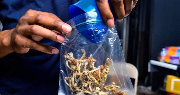 McGill-led study suggests psychedelics could change depression treatment McGill-led study suggests psychedelics could change depression treatment