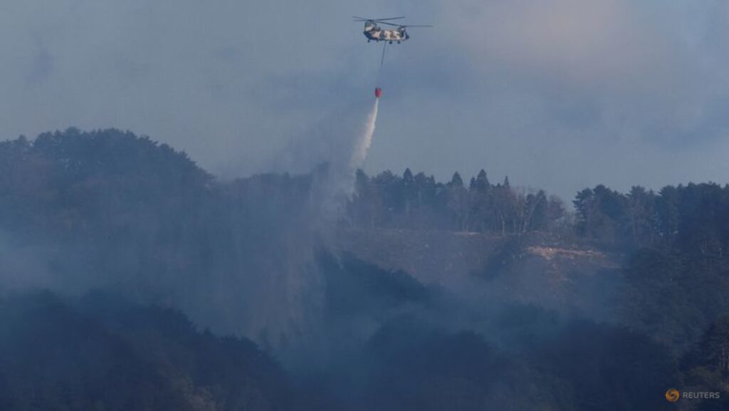 Japan deploys 1,400 firefighters to battle raging wildfires in the north