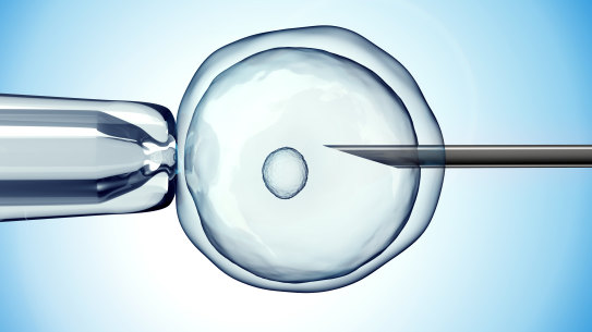 Invented in the 1990s, ICSI was designed for couples with severe male infertility,