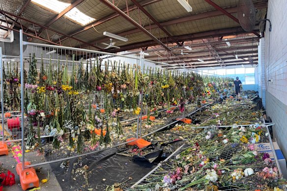 Thousands of flowers alongside other public tributes are being carefully preserved for the memorial.